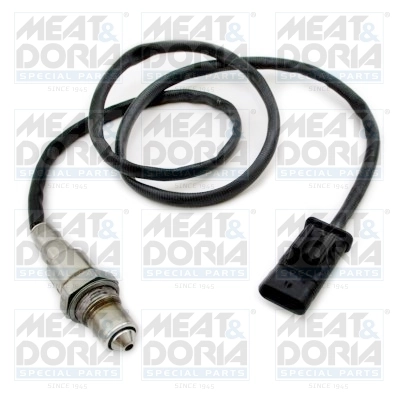 Oxygen Sensor
